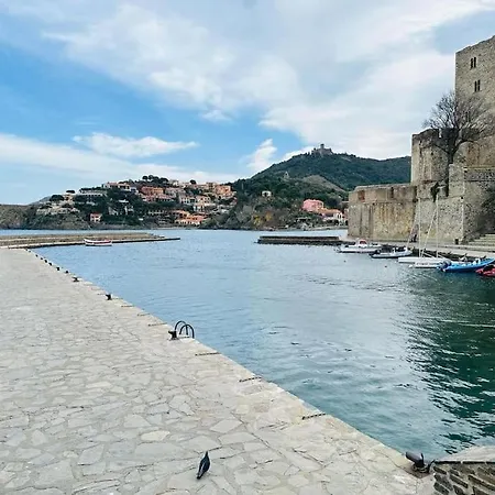 Aux Vents Du Sud *